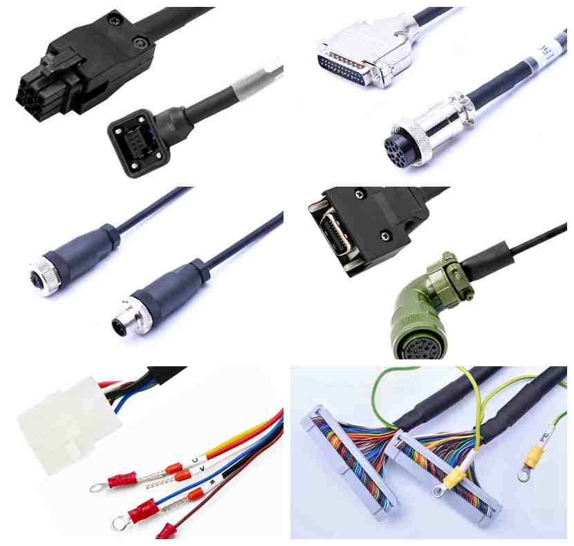 7萬多元的龍蝦被放生，蘇州華宸宇電子線束加工廠家為你解讀為了啥？